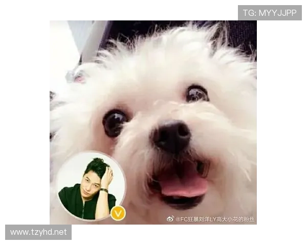 刘洋家的狗吃的都比我一个月工资多